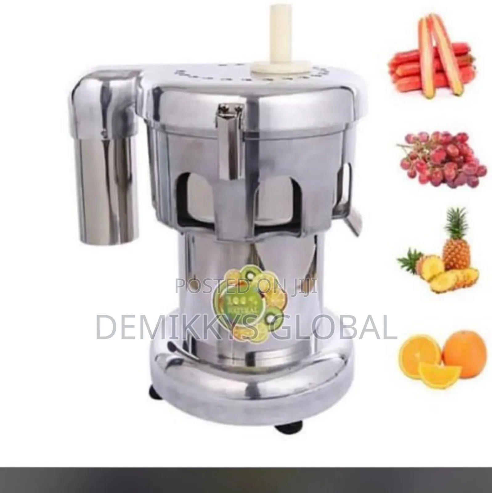 Industrial Juicer