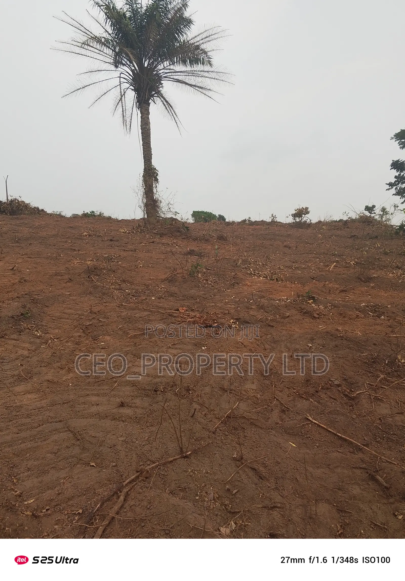 Government Approved Farm Lands Epe