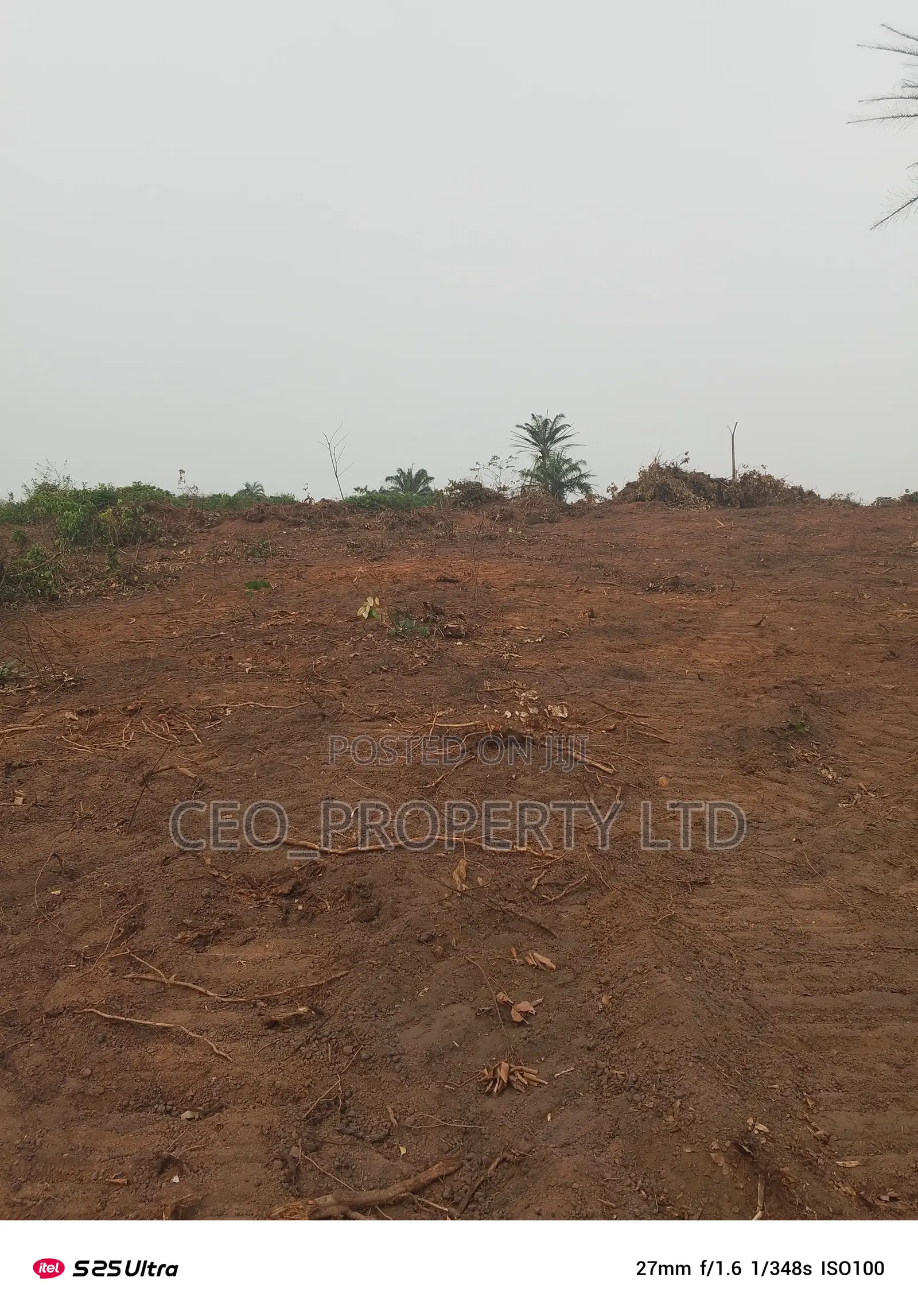 Government Approved Farm Lands Epe