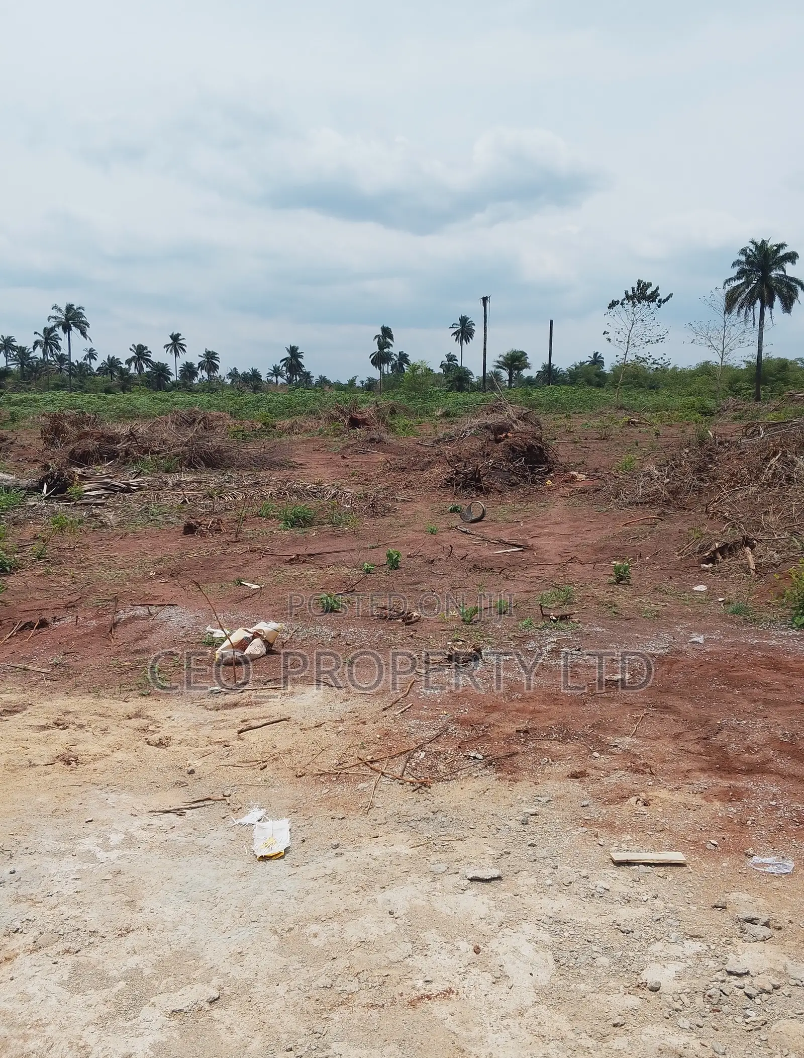 Government Approved Farm Lands Epe