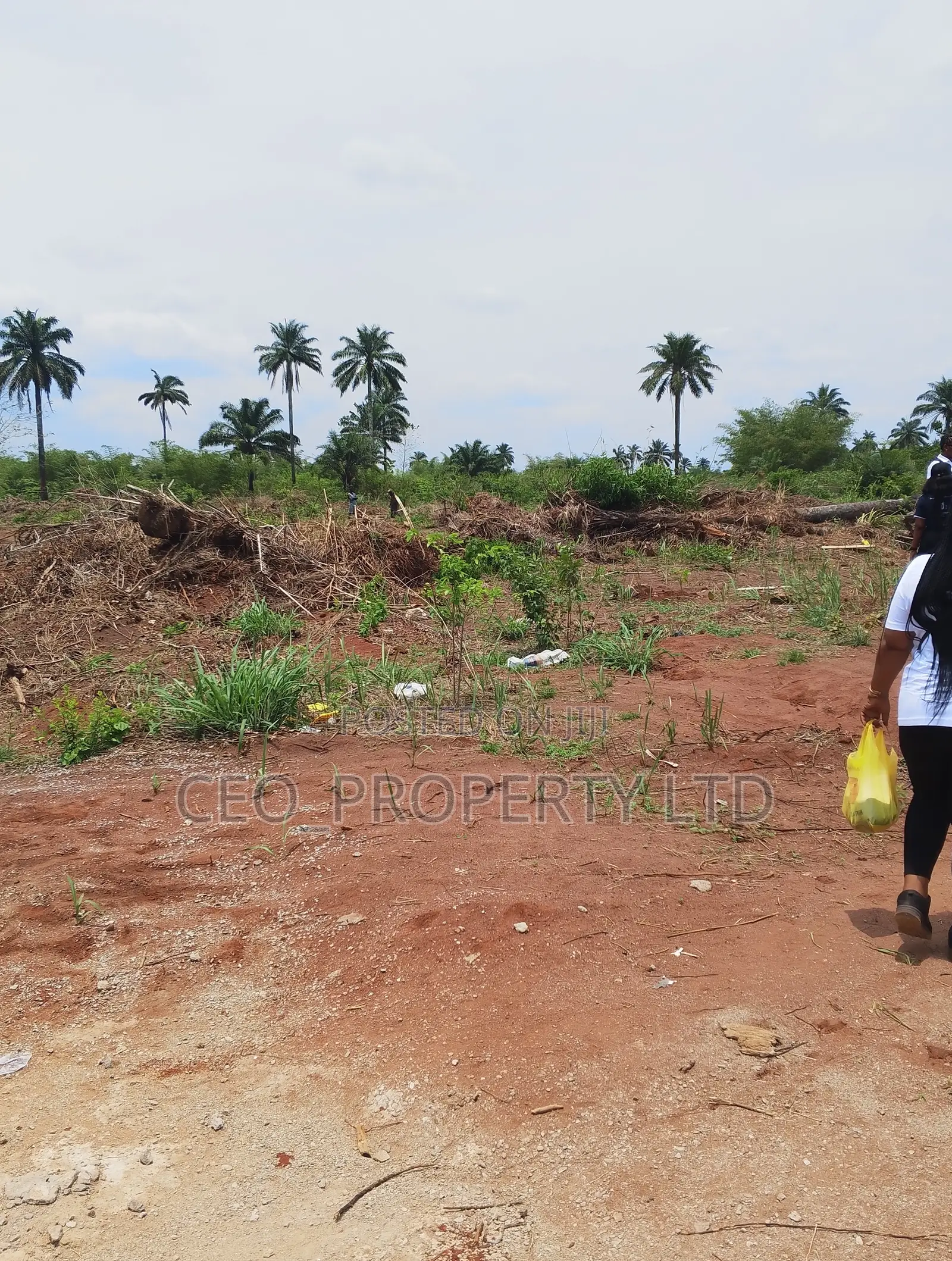 Government Approved Farm Lands Epe