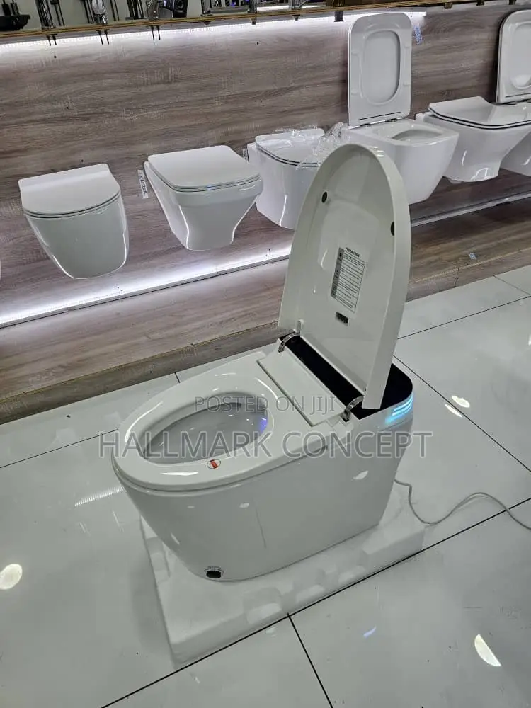 Luxury Smart Toilets