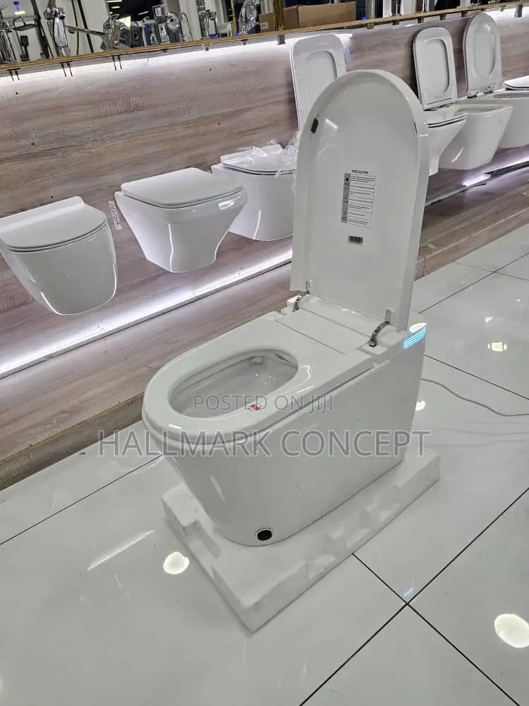 Luxury Smart Toilets