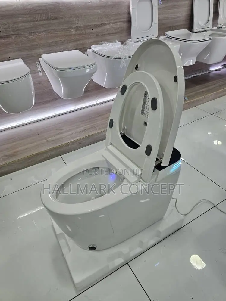 Luxury Smart Toilets