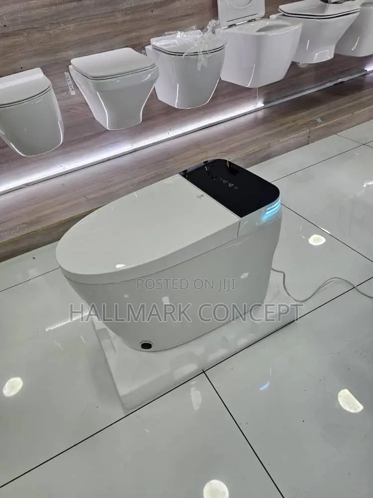 Luxury Smart Toilets