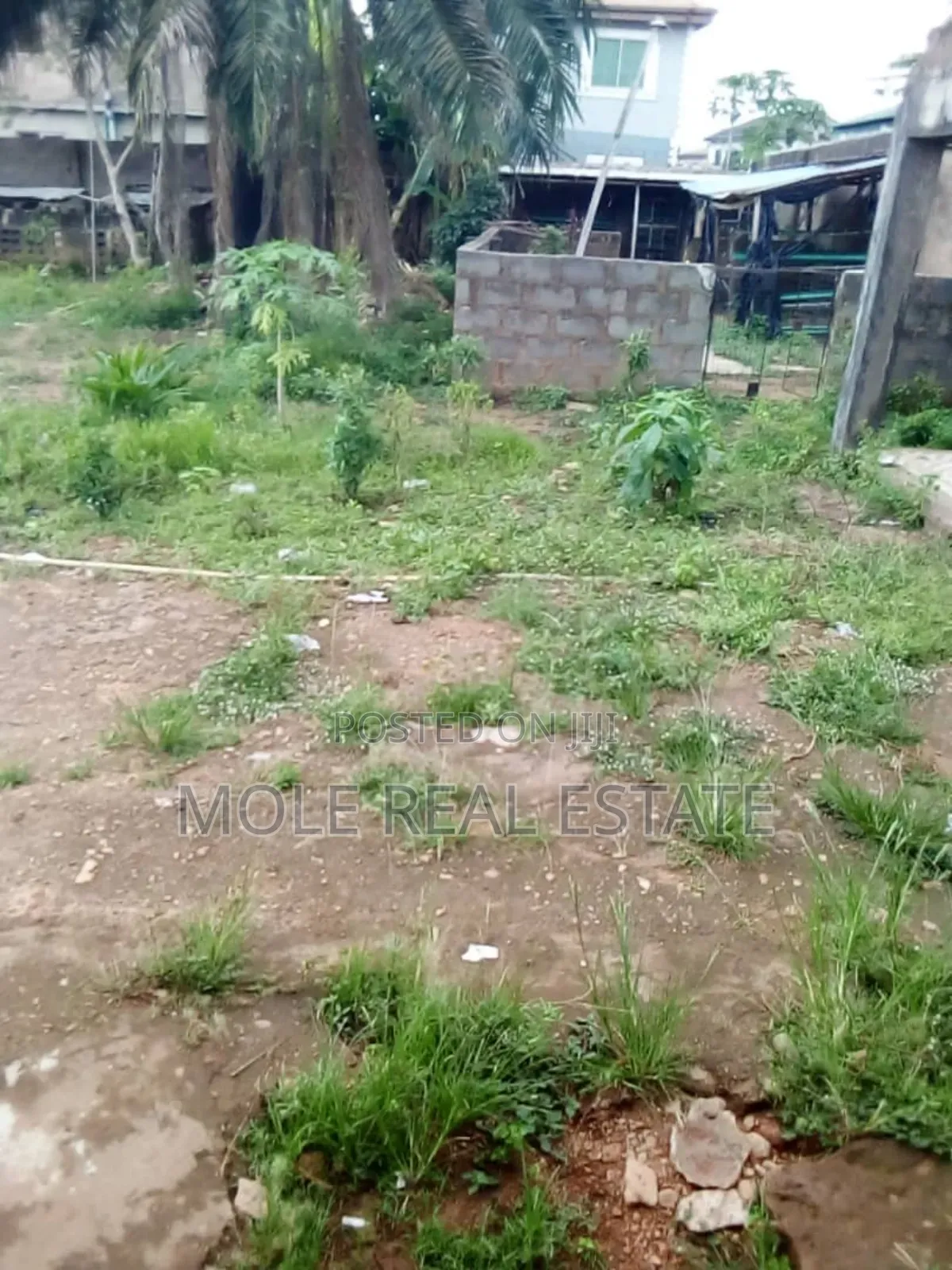 1 1/2 Plot of Land Fenced Gated Olorunshola Ayobo Lagos