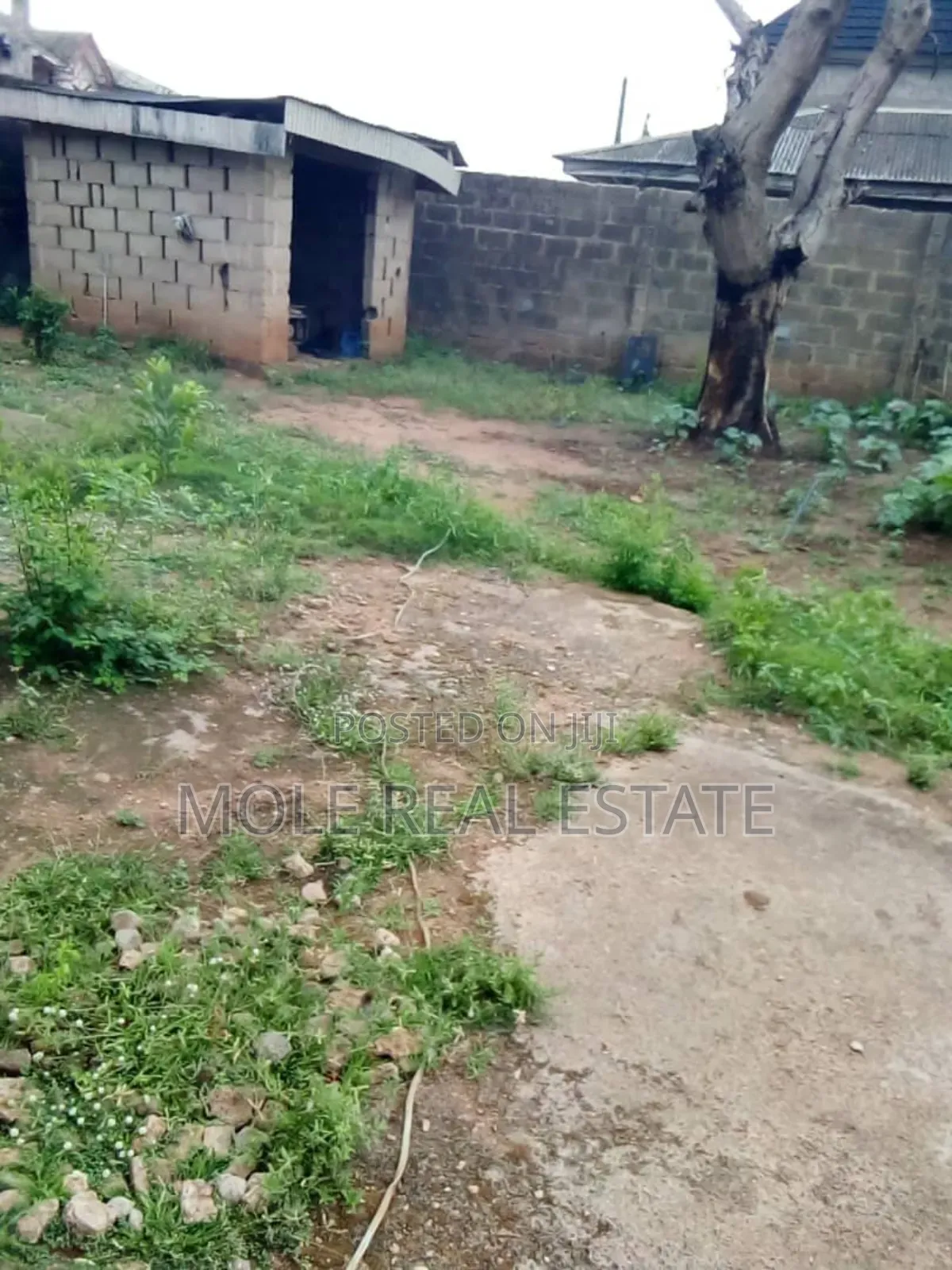 1 1/2 Plot of Land Fenced Gated Olorunshola Ayobo Lagos