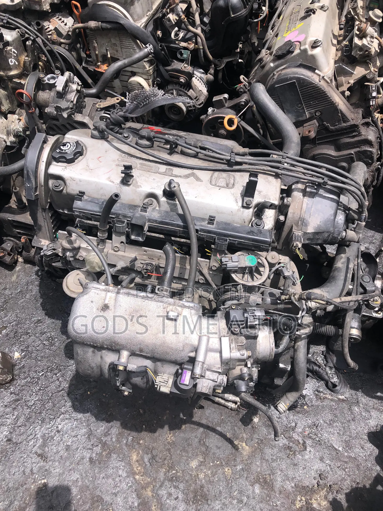 Honda Vtec Baby Boy
