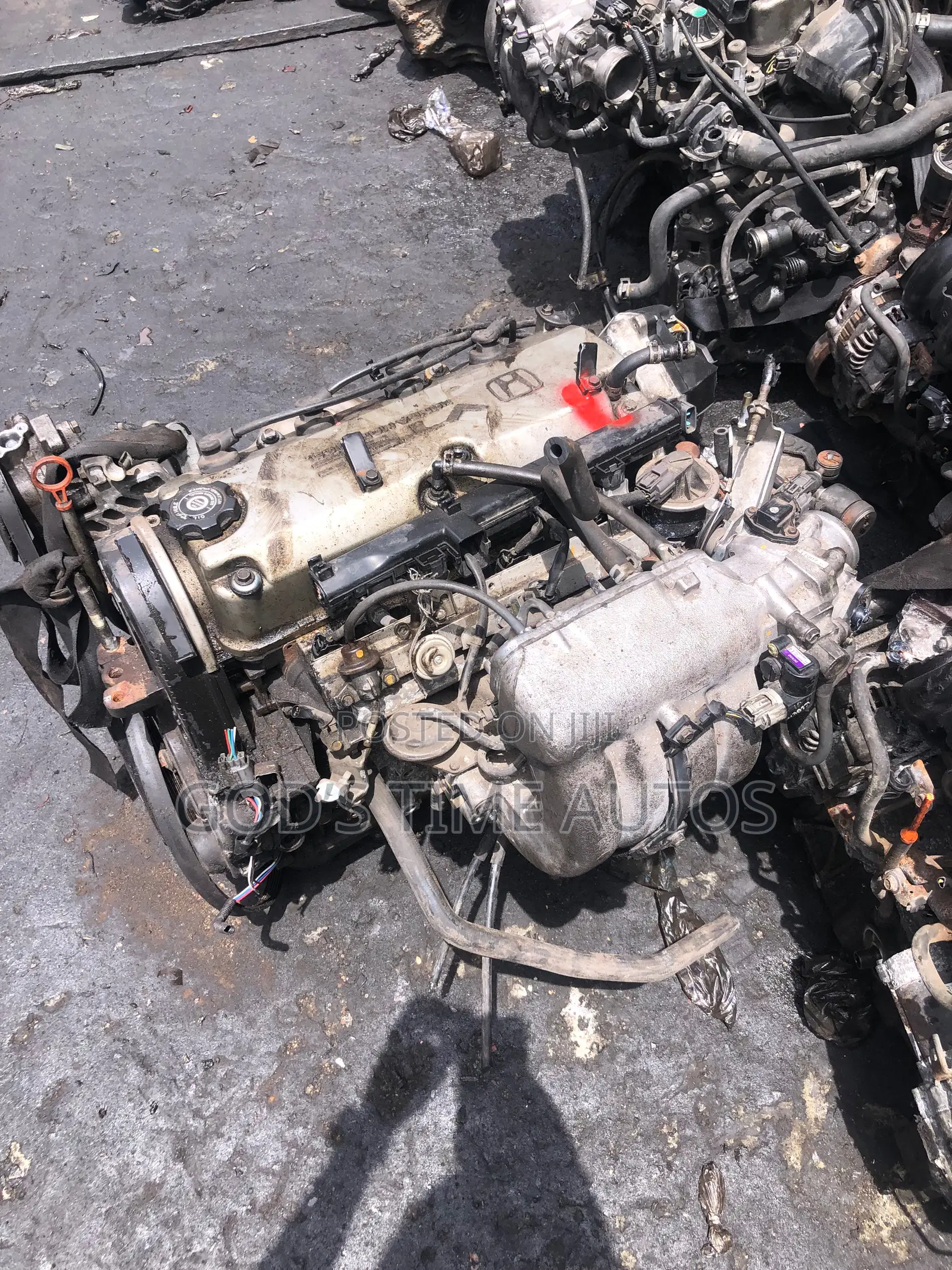 Honda Vtec Baby Boy