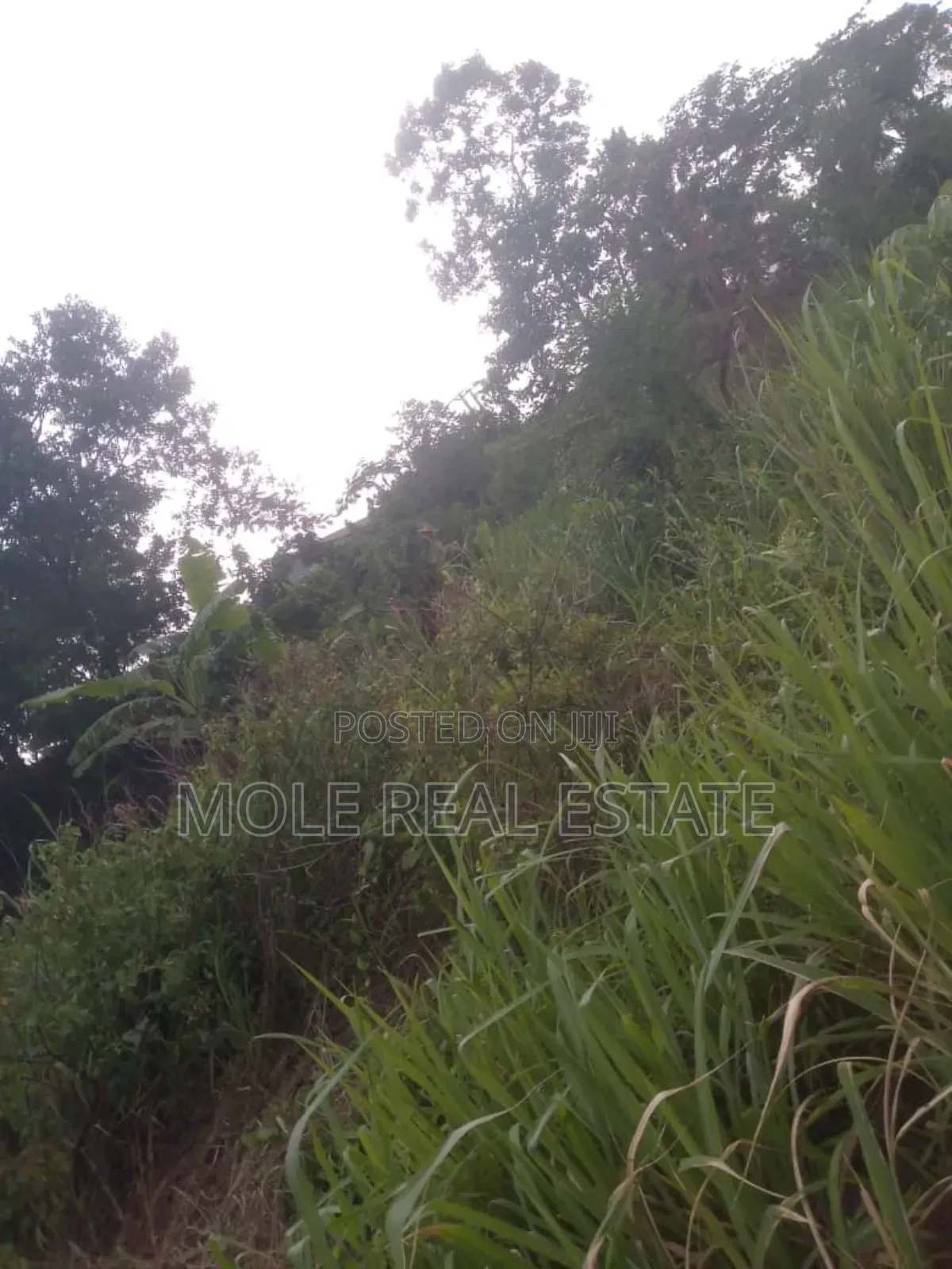 13 Plots With 8 Shops Meiron Casso Alagbado Kola