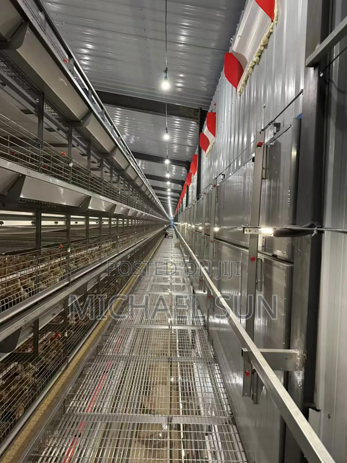 Automatic Battery Cage Chicken Cages