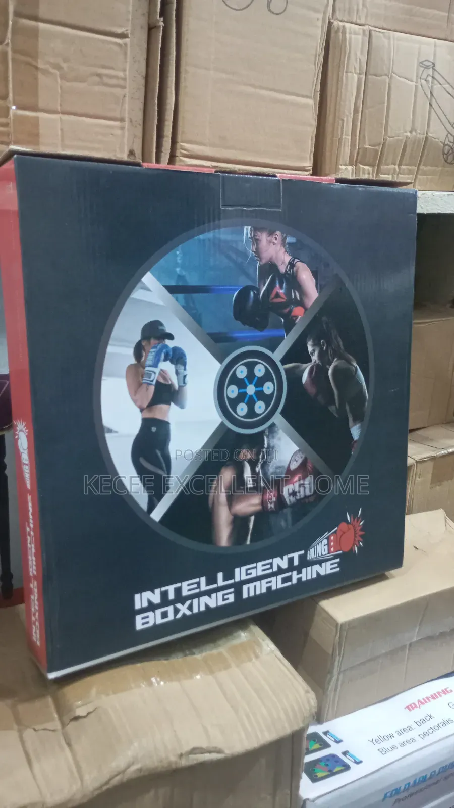 Boxing Machine With Hand Glove