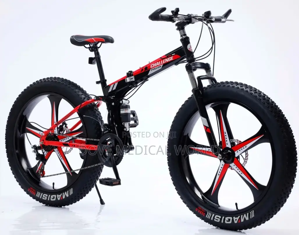 Foldable Outdoor Bicycle (Big Tyre - Alloy Wheel)