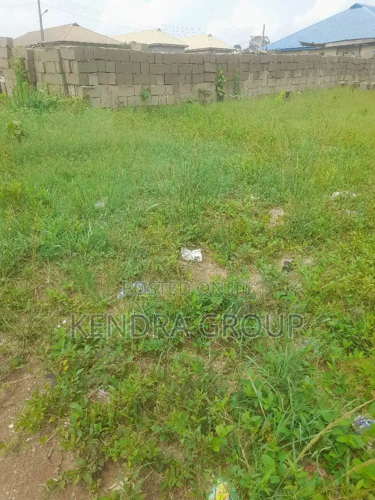 Half Plot for Sale at Mowokekere, Elepe