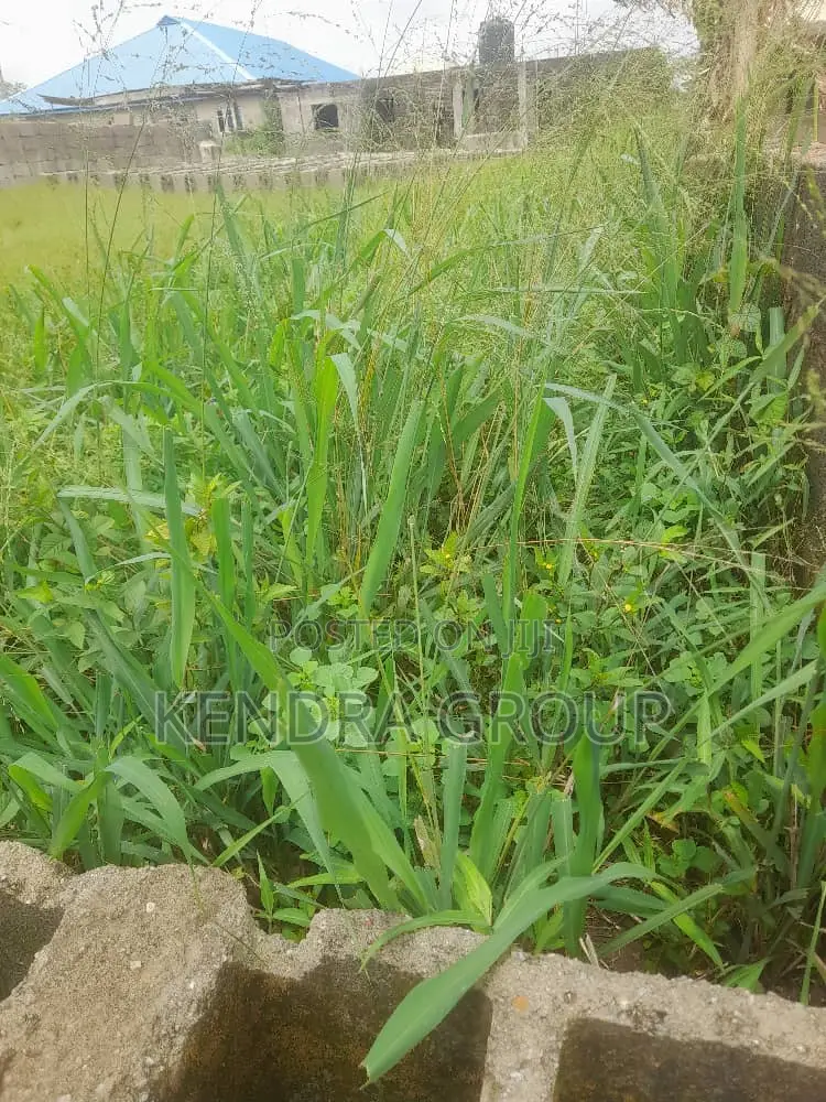 Half Plot for Sale at Mowokekere, Elepe