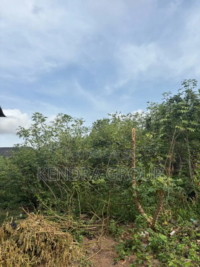 Land for Sale at Elepe, Ikorodu