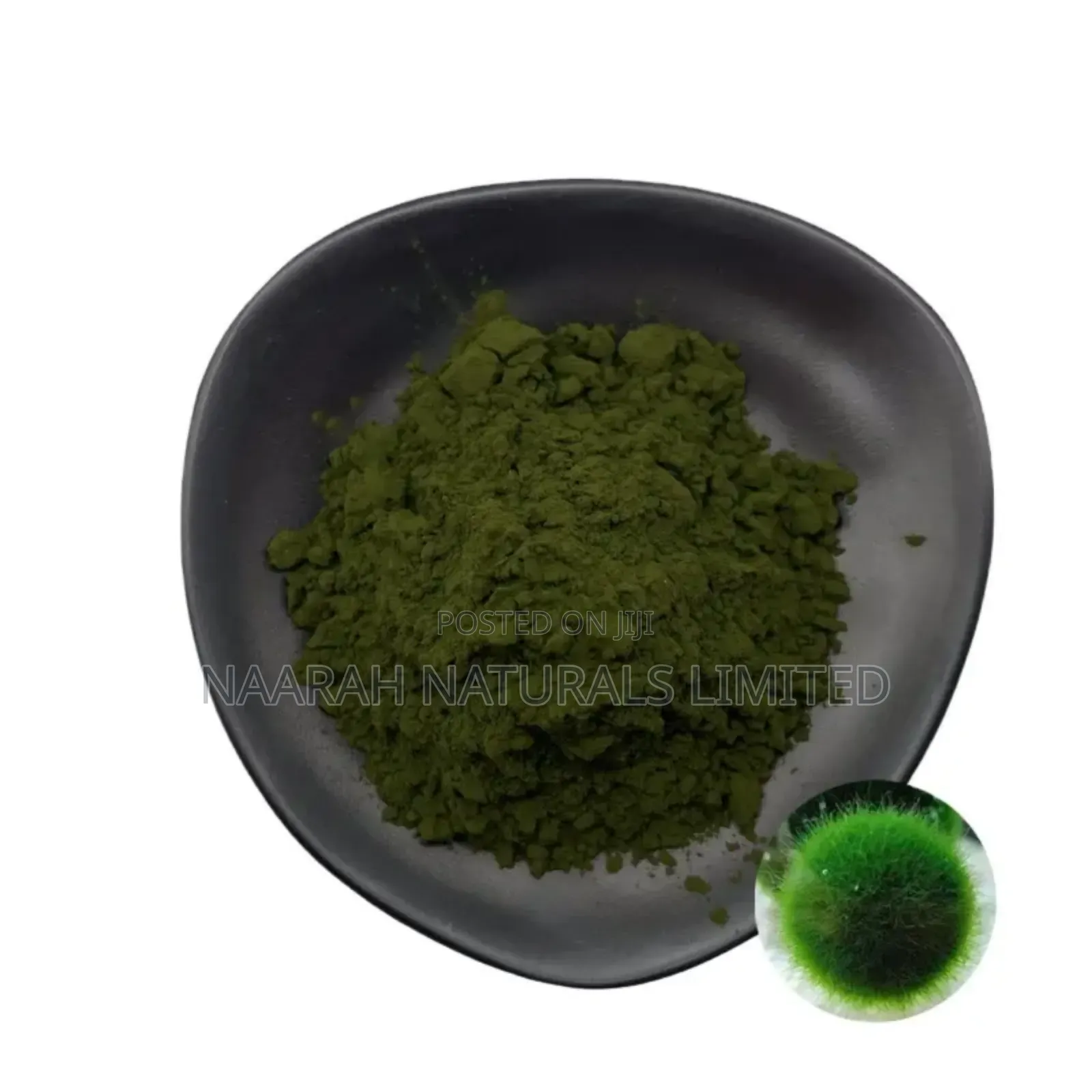 Organic Chlorella Powder - 250g