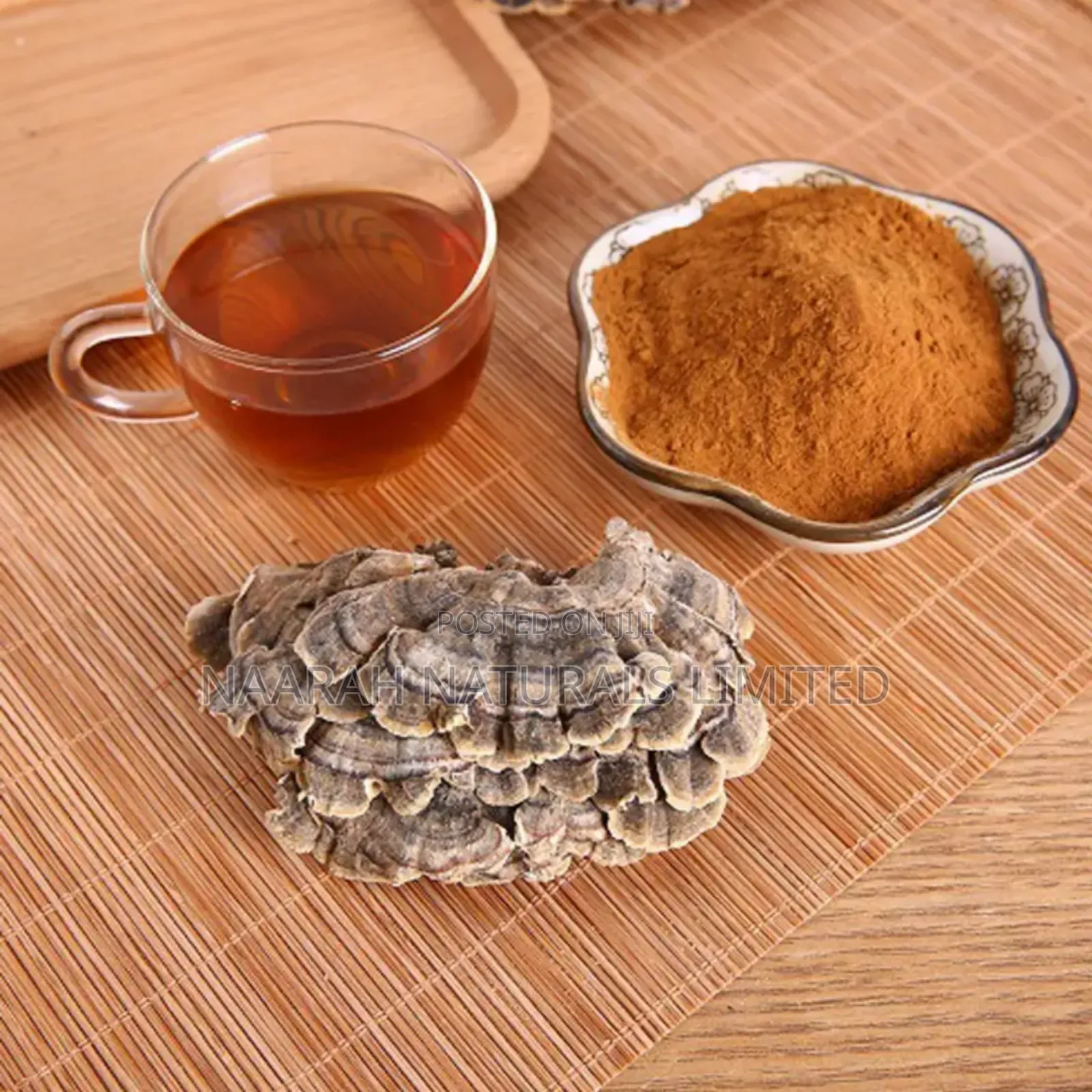 Turkey Tail Extract Powder - 250g