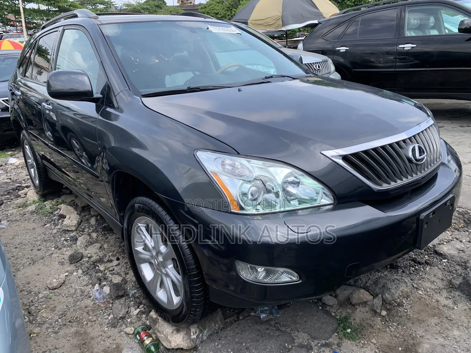 Lexus RX 350 2009 Gray