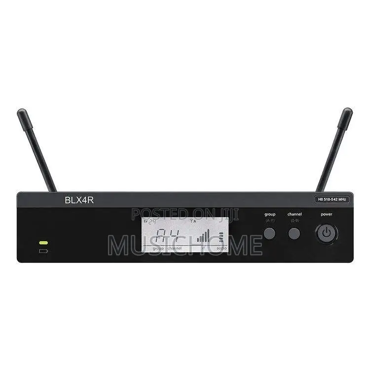 Professional Blx24r/Pg58 Uhf Wireless Microphone System