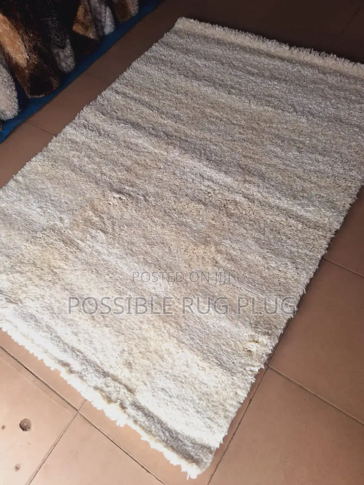 Cream Vip Wool Shaggy