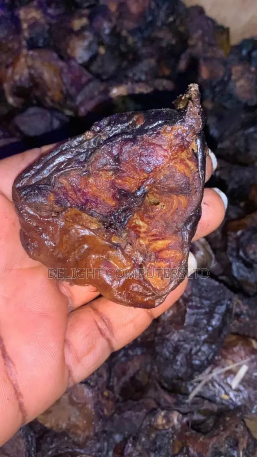 Dry Mangala Fish