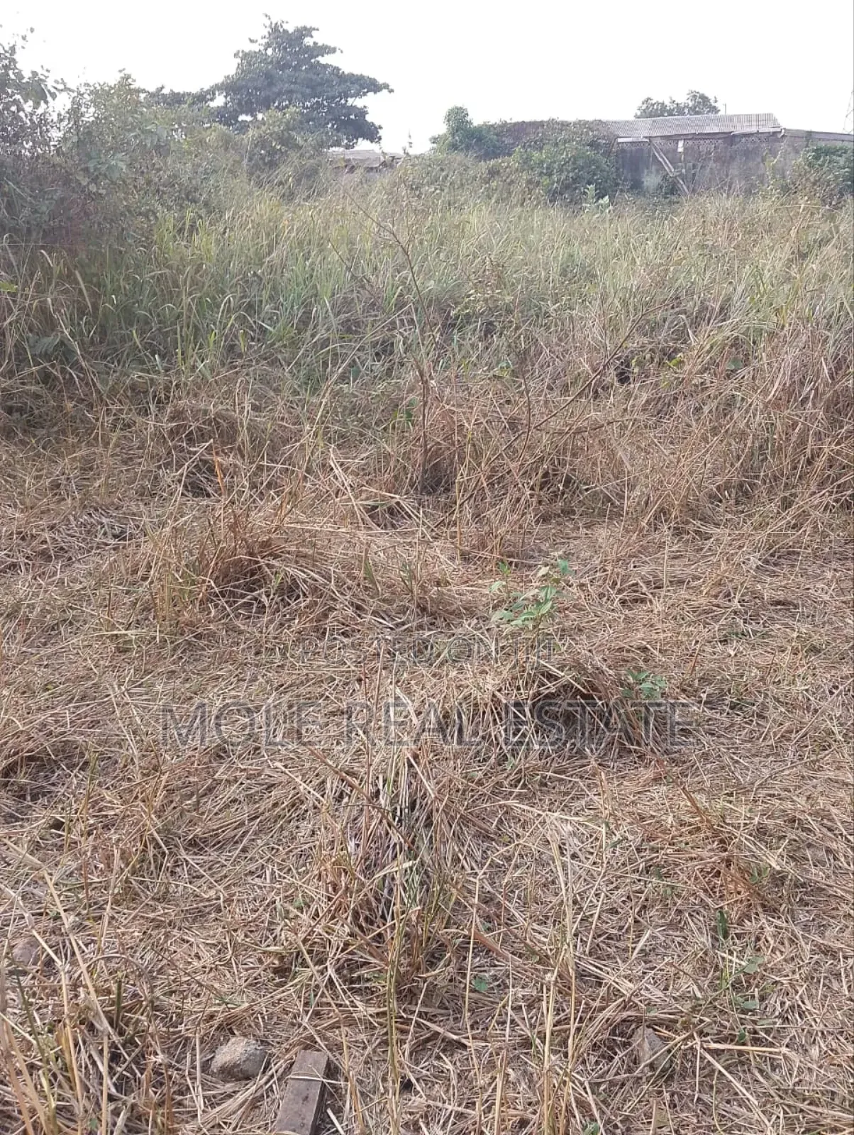 Full Plot With Mini Flats Lobata, Ikeja Alagbado Lagos