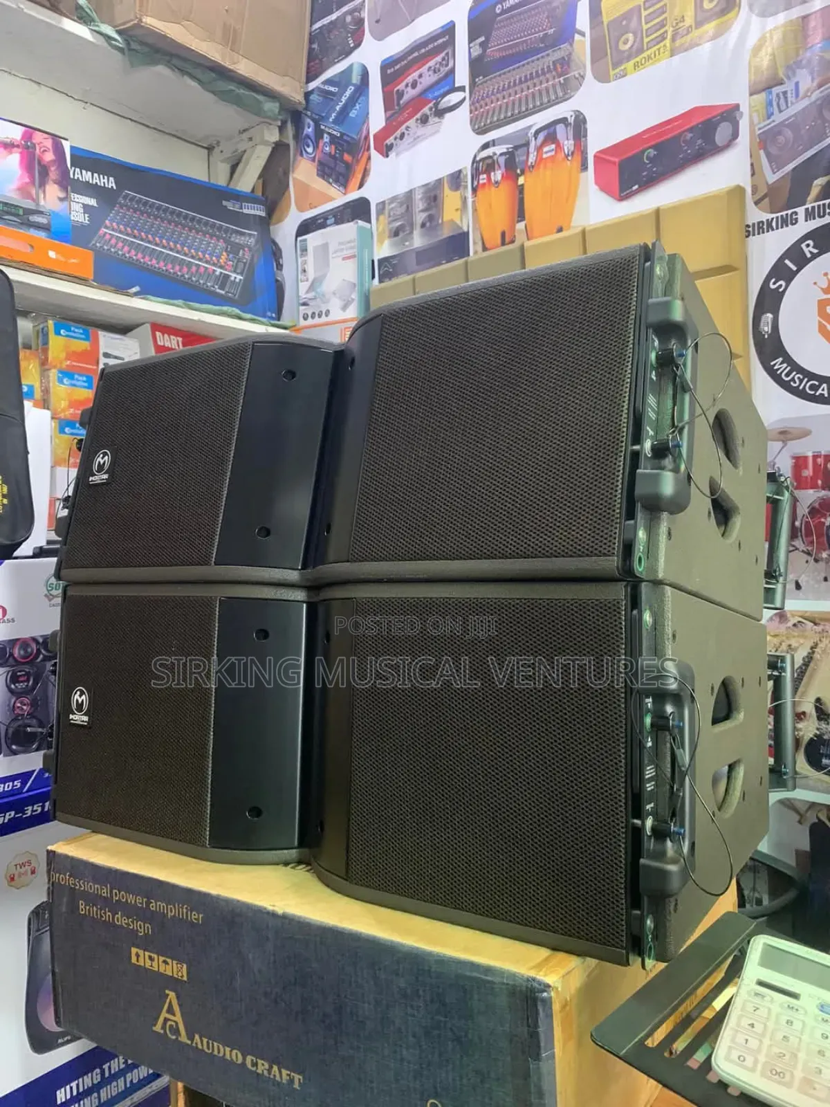 Pair of Imortar Line Array 12inches