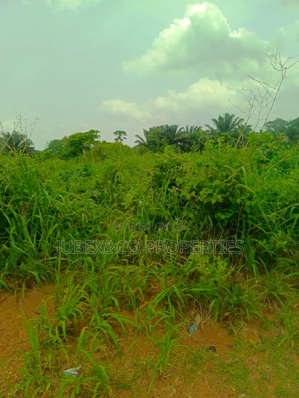 A Plot of Land at Iyana Iyesi