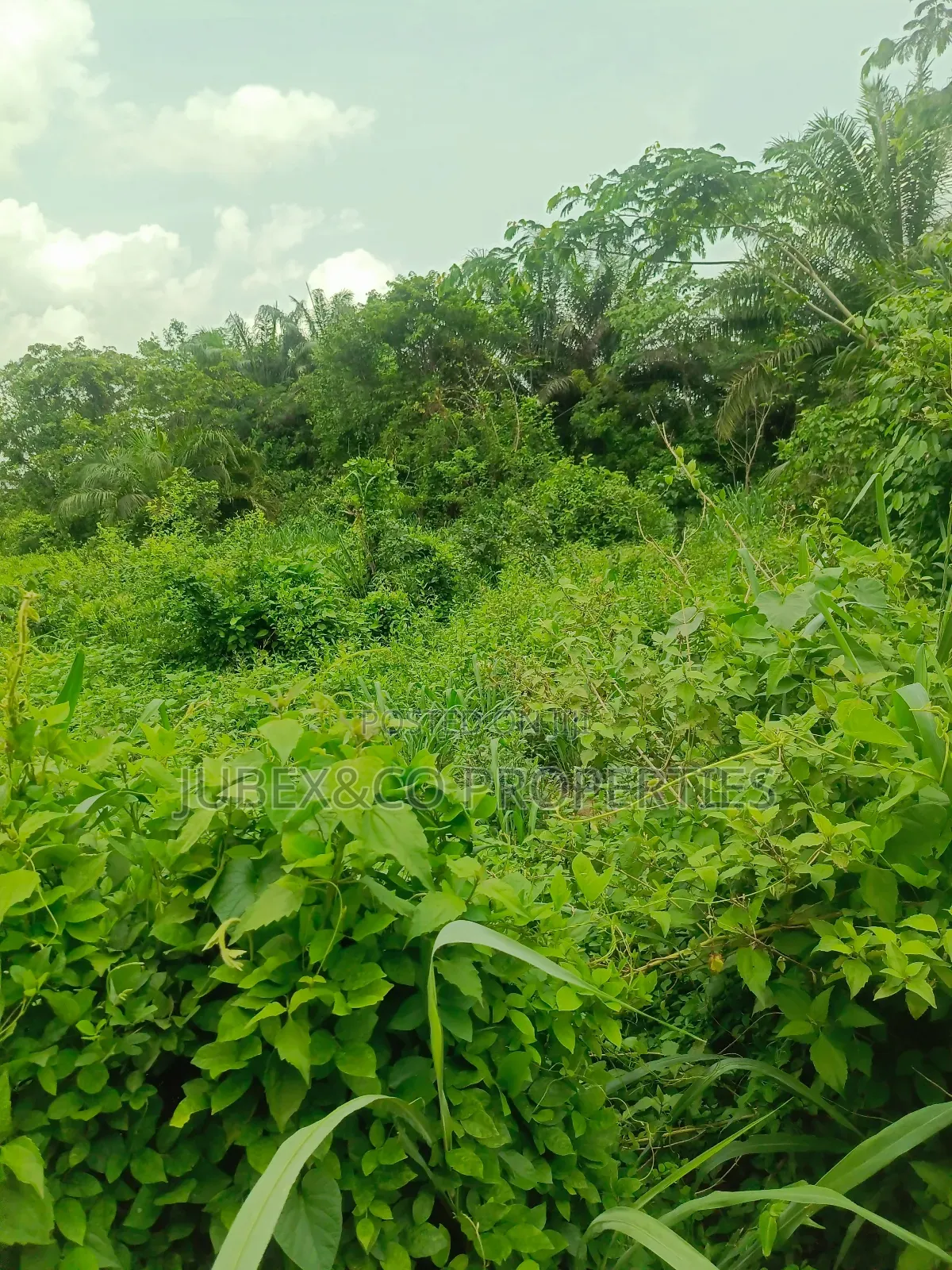A Plot of Land at Iyana Iyesi