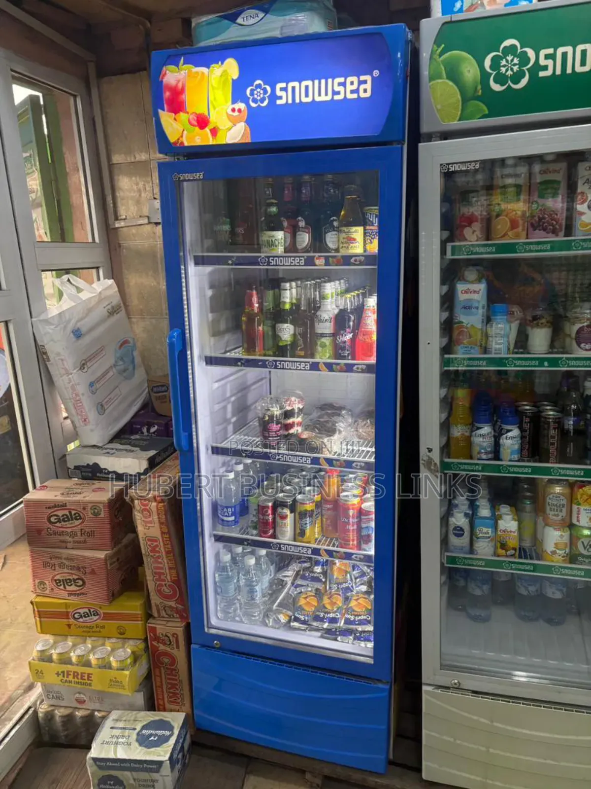 Single Door Snowsea Refrigerator/Chillers