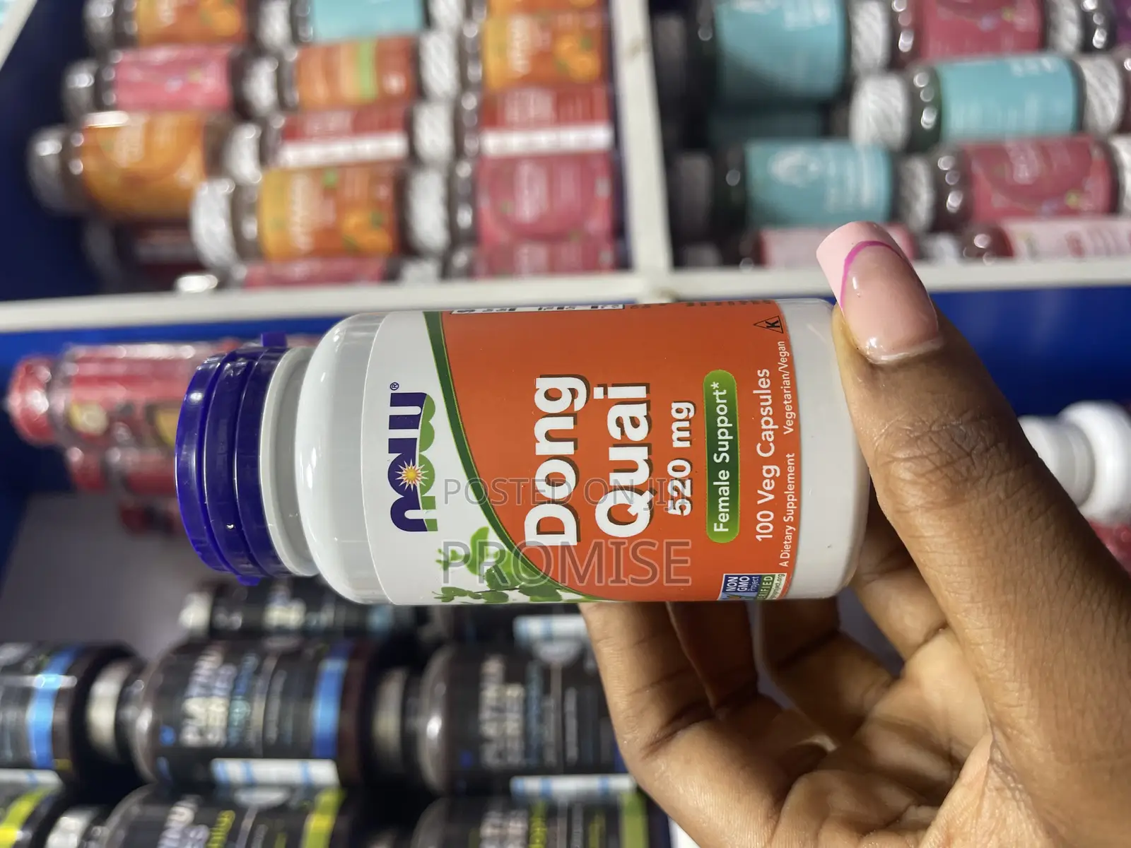 Now Dong Quai 520mg