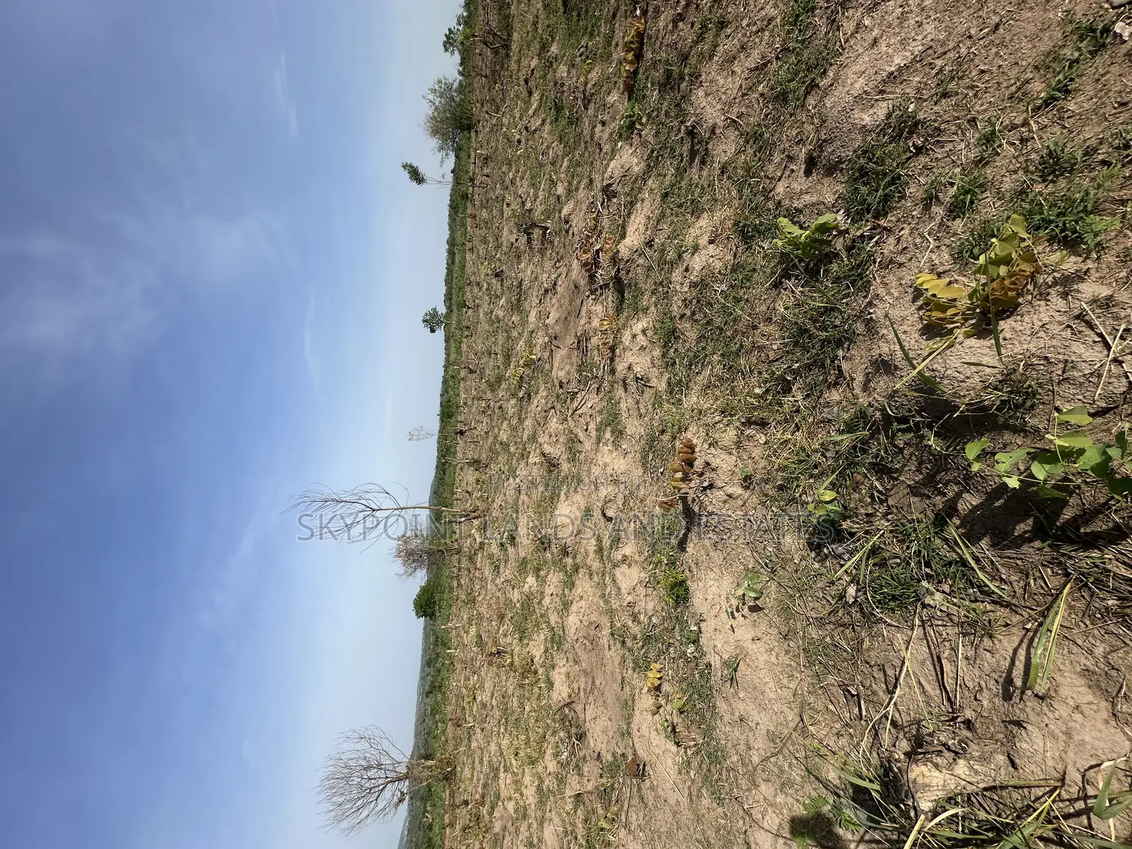 41 Acres at Eroomo Area Along Otu Road Ipapo Itesiwaju Lga