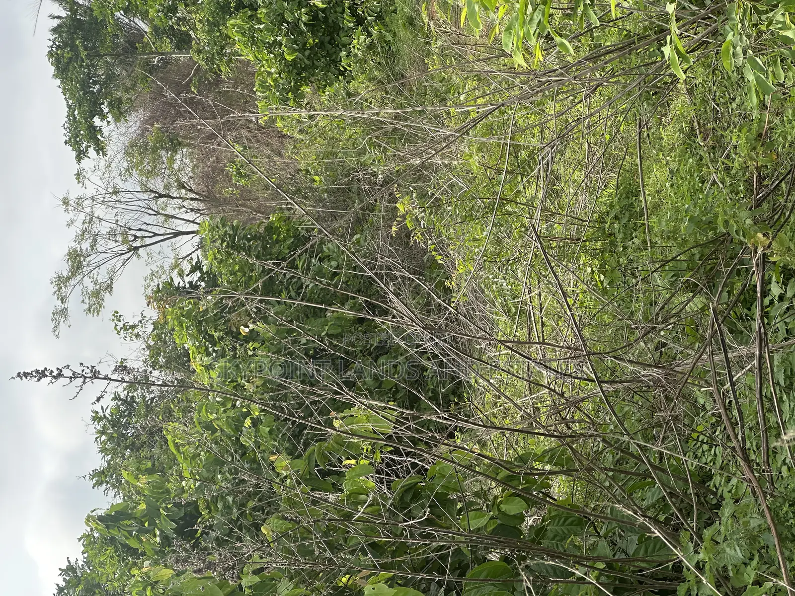 158 Acres at Along Owode Road, Oluwonde Village Ipapo