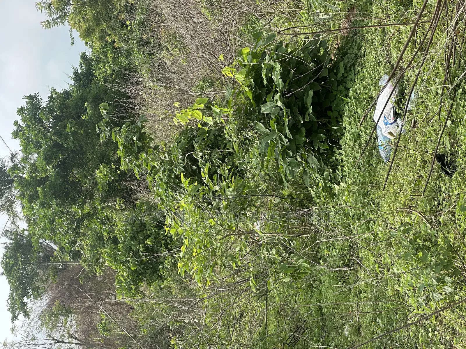 158 Acres at Along Owode Road, Oluwonde Village Ipapo