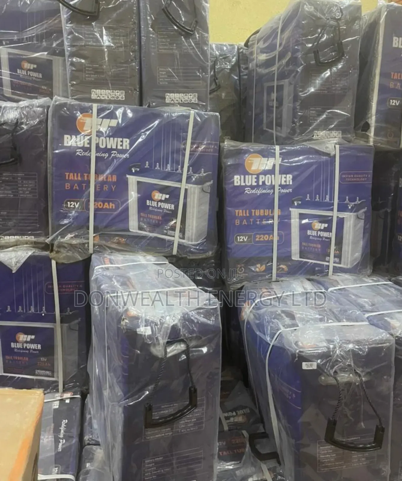 220ahms Blue Power Tall Tubular Battery