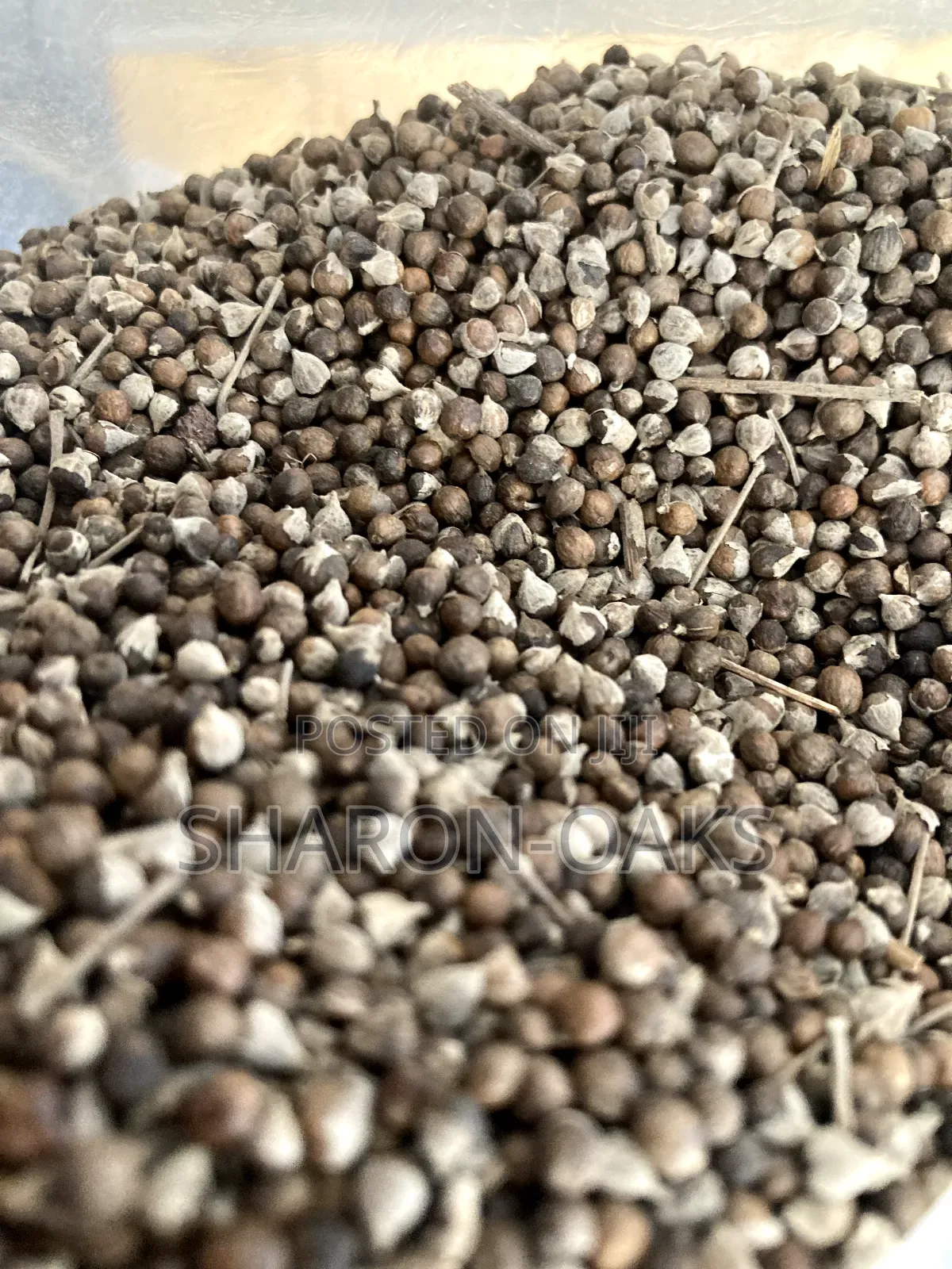 Vitex Chasteberry Seed 100g