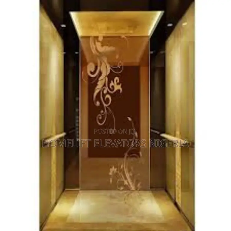 Automatic Stainless Steel Passenger Elevator,