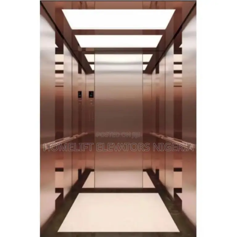 Small 2-6 Floor Indoor Home Lift Elevator
