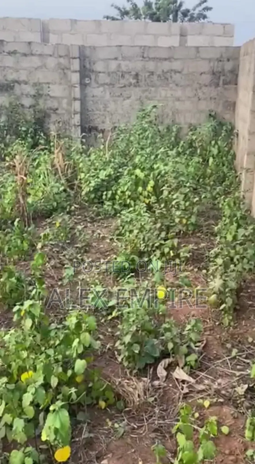 Two Plot of Land for Sale in Ilasha, Opic Estate