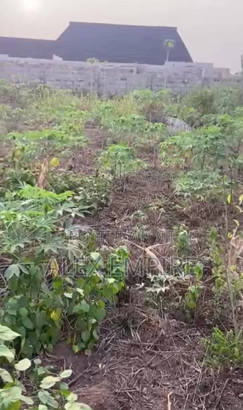 Two Plot of Land for Sale in Ilasha, Opic Estate
