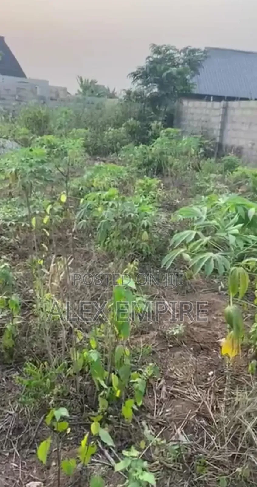Two Plot of Land for Sale in Ilasha, Opic Estate