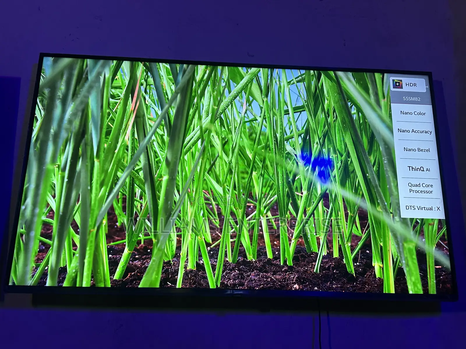 Lg 55 Inches Smart Nanocell Tv