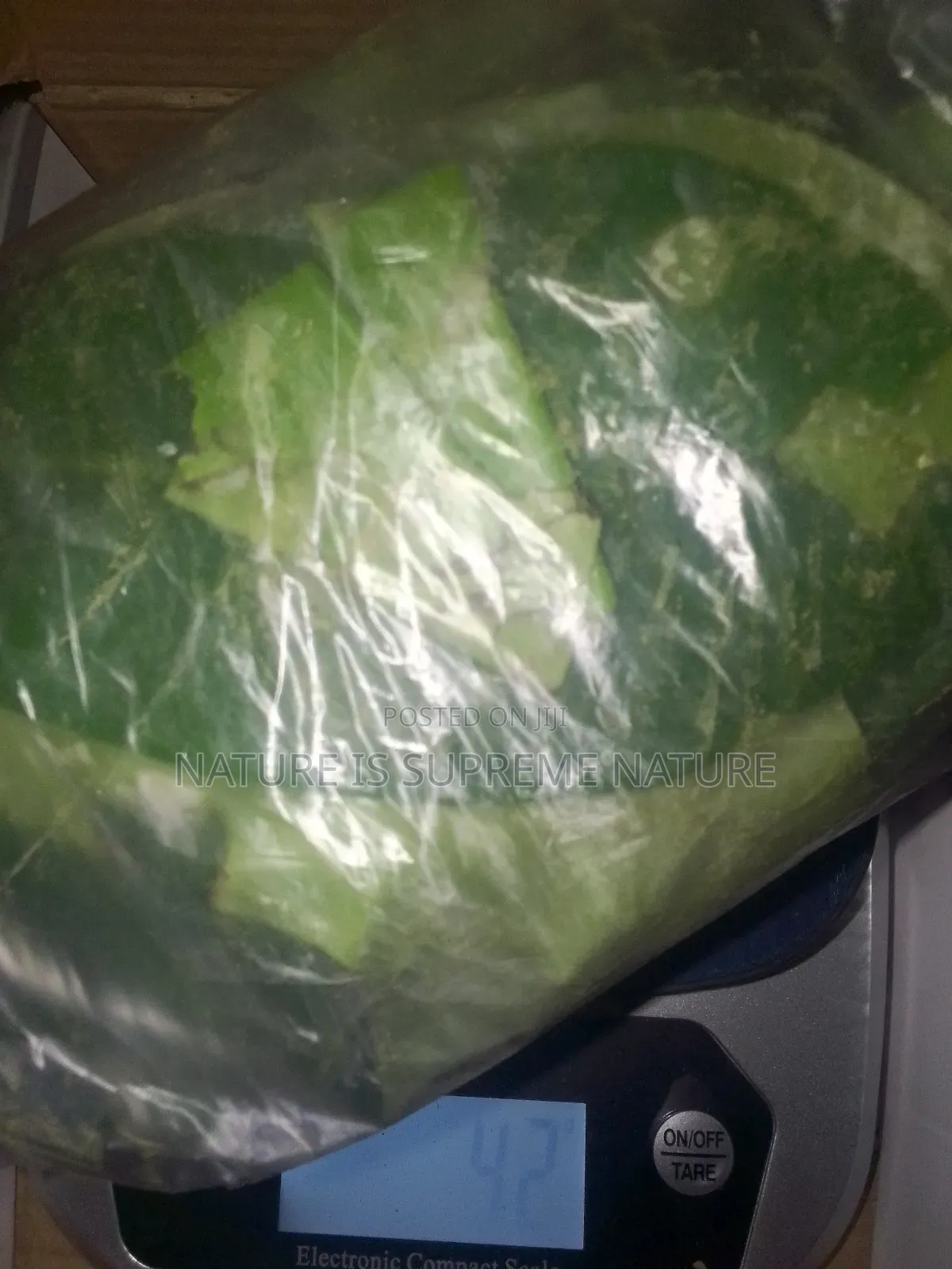 Herbs and Natural Cures for Hepatitis and Diseases