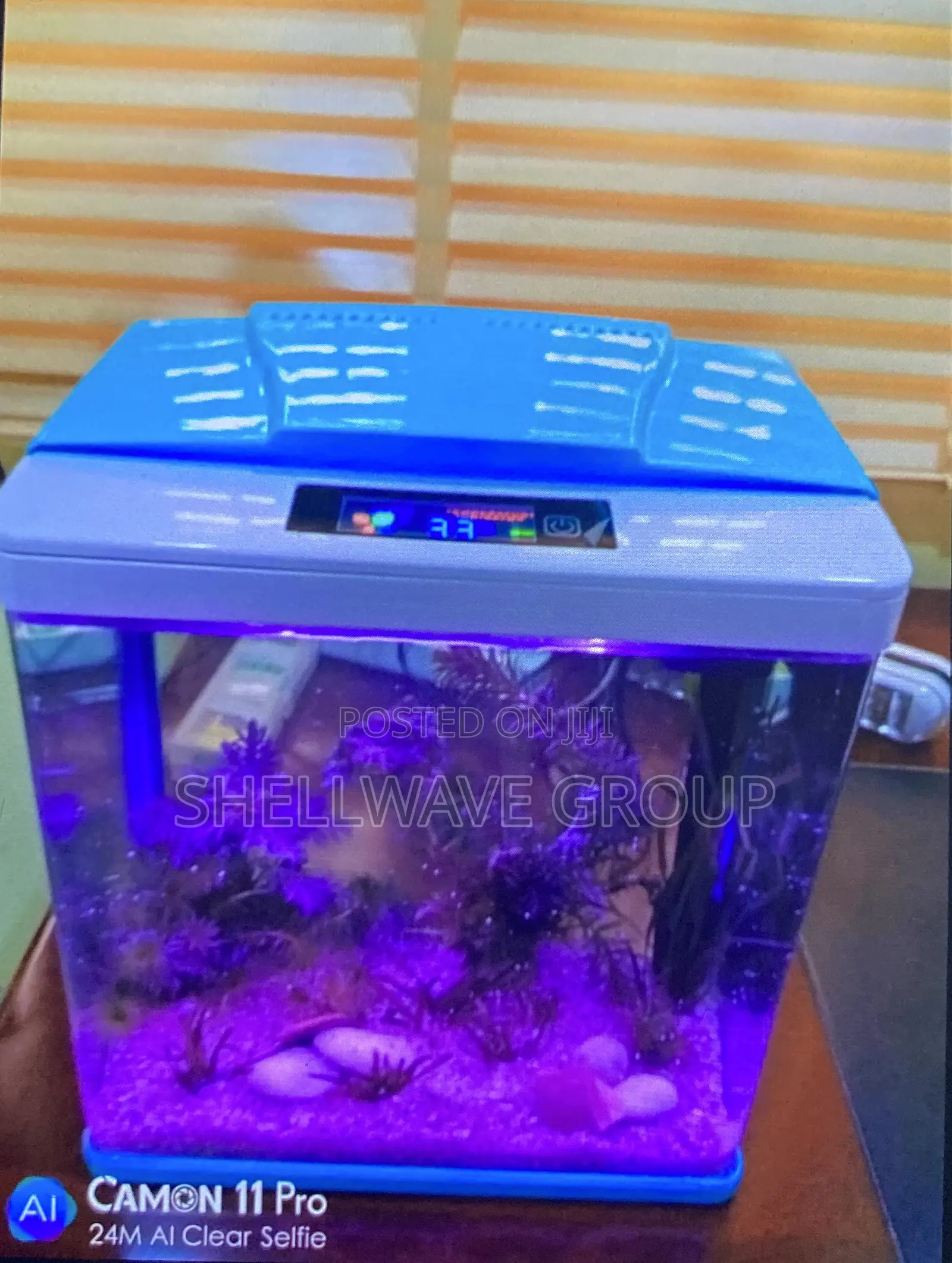 7liters Aquarium With Fishes and Decor