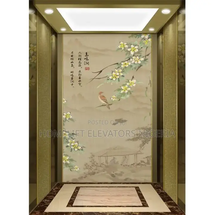 High Quality 2-5 Floor Small Shaftless Residential Lift