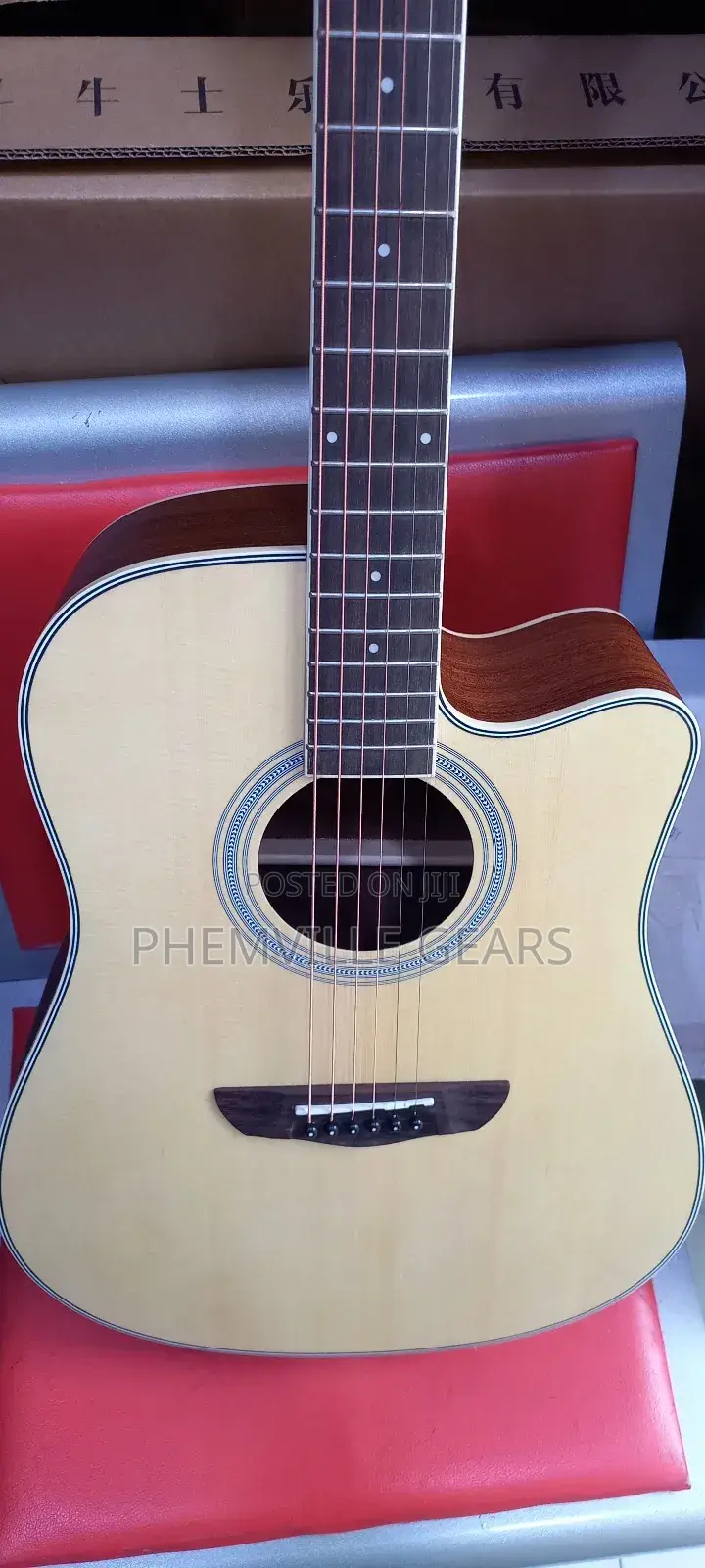 Bullfighter Semi Acoustic Guitar