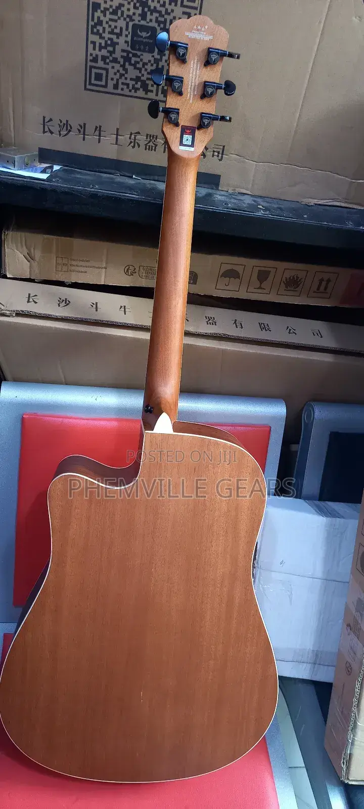 Bullfighter Semi Acoustic Guitar