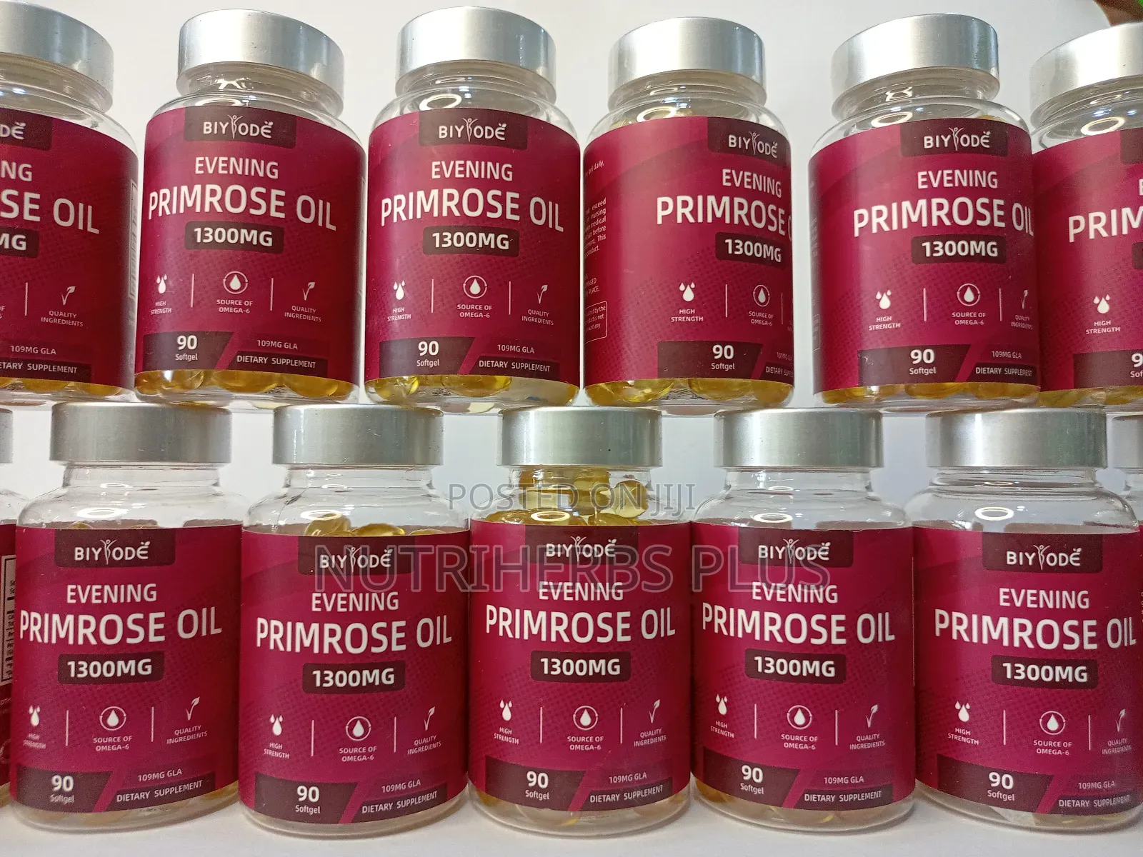 Evening Primrose Wholesale Price at 8,000