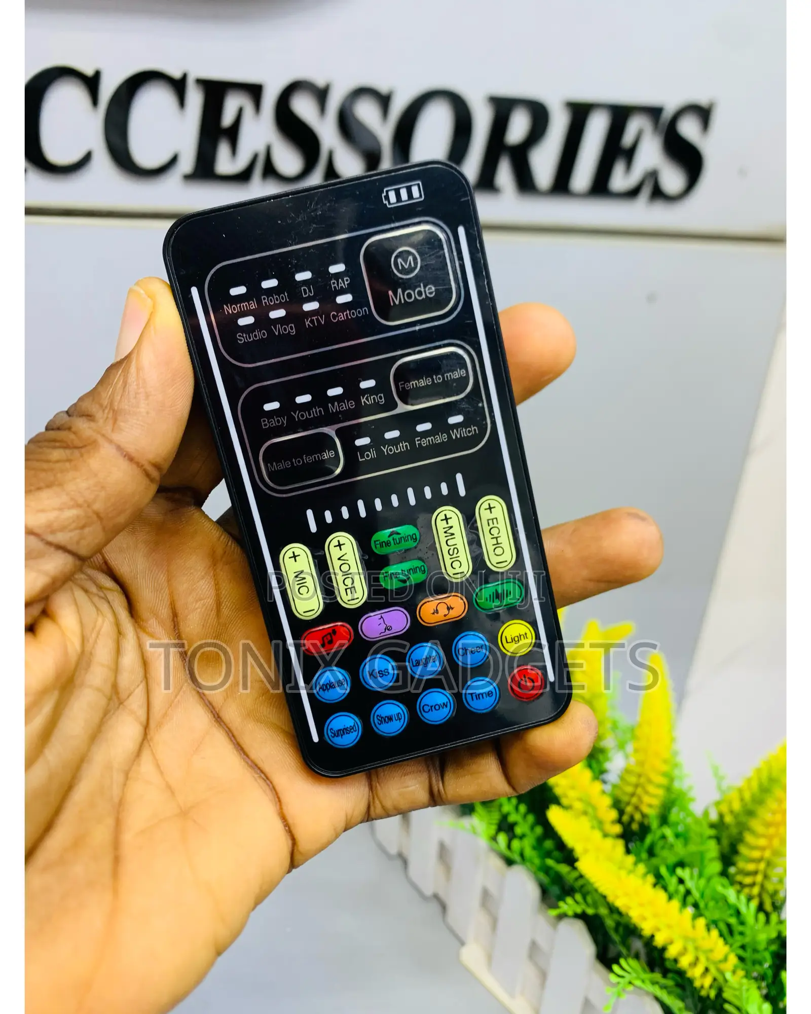 Intelligent Voice Changer/ Noise Reduction(Transducer )